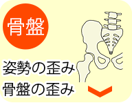 骨盤矯正・姿勢矯正